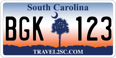 SC license plate BGK123