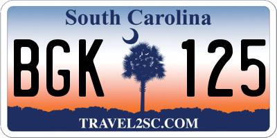 SC license plate BGK125