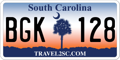 SC license plate BGK128