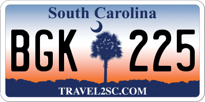 SC license plate BGK225