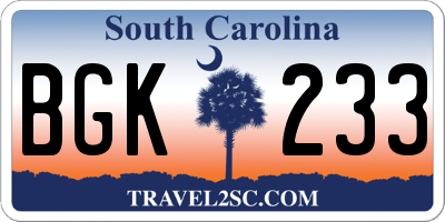 SC license plate BGK233
