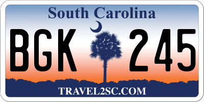 SC license plate BGK245