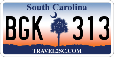 SC license plate BGK313