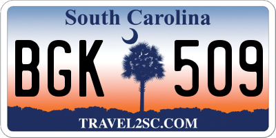 SC license plate BGK509