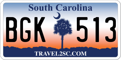 SC license plate BGK513