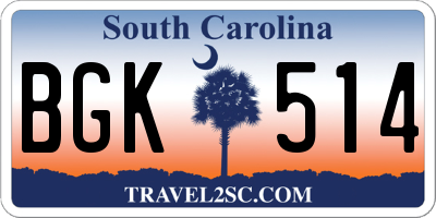 SC license plate BGK514