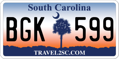 SC license plate BGK599