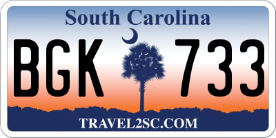 SC license plate BGK733
