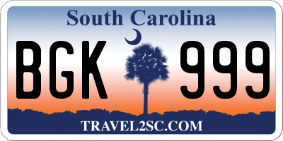 SC license plate BGK999