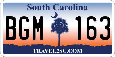 SC license plate BGM163