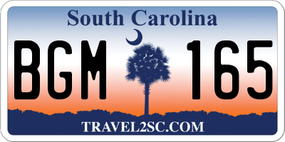 SC license plate BGM165