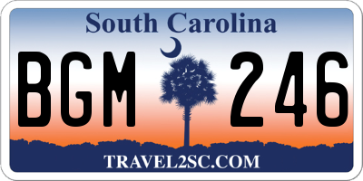 SC license plate BGM246