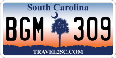 SC license plate BGM309