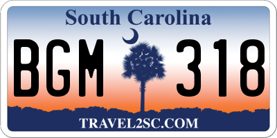 SC license plate BGM318