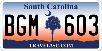 SC license plate BGM603