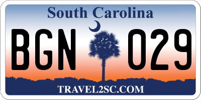 SC license plate BGN029