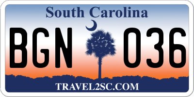 SC license plate BGN036