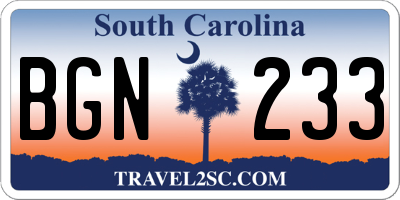 SC license plate BGN233