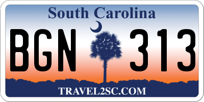 SC license plate BGN313