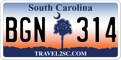 SC license plate BGN314