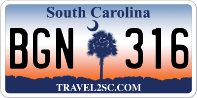 SC license plate BGN316