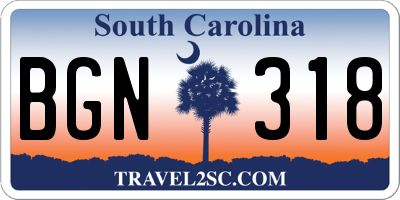 SC license plate BGN318