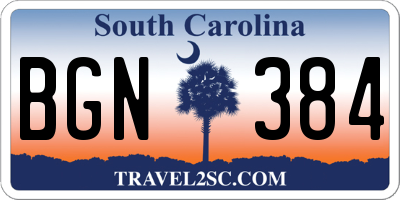 SC license plate BGN384