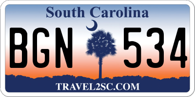 SC license plate BGN534