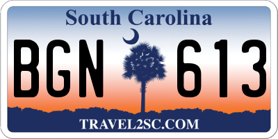 SC license plate BGN613