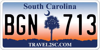 SC license plate BGN713