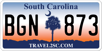 SC license plate BGN873