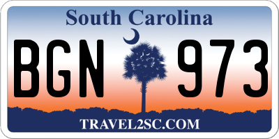 SC license plate BGN973
