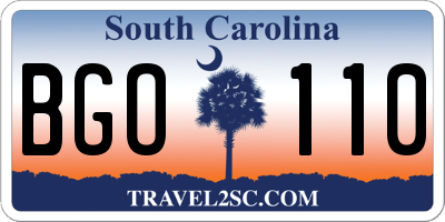 SC license plate BGO110