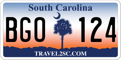 SC license plate BGO124