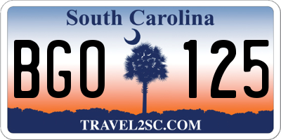 SC license plate BGO125