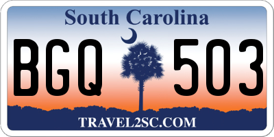 SC license plate BGQ503