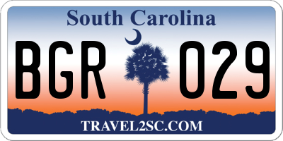 SC license plate BGR029