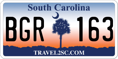 SC license plate BGR163
