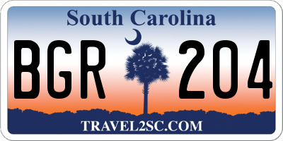 SC license plate BGR204
