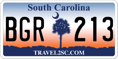 SC license plate BGR213