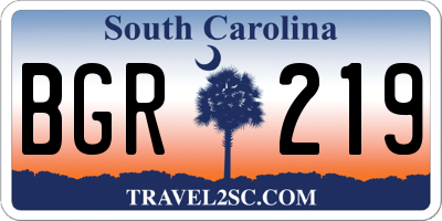 SC license plate BGR219