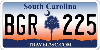 SC license plate BGR225