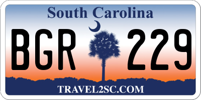 SC license plate BGR229