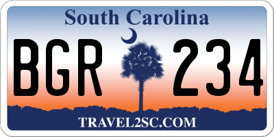 SC license plate BGR234