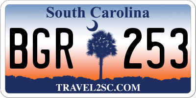 SC license plate BGR253