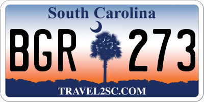 SC license plate BGR273