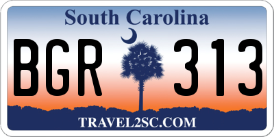 SC license plate BGR313
