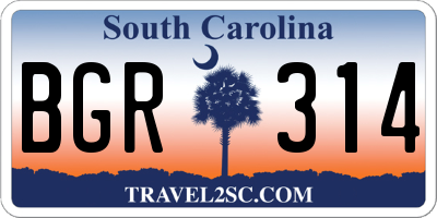 SC license plate BGR314