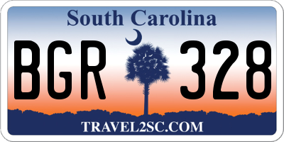 SC license plate BGR328