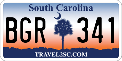 SC license plate BGR341